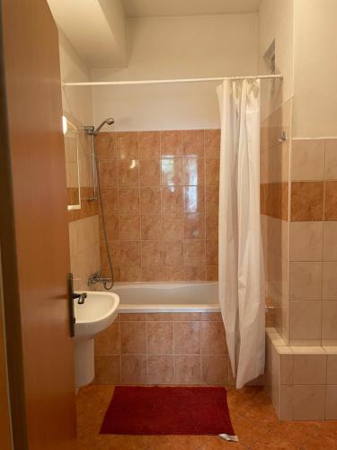 Anthony Apartment in City Center, Bratislava (photo 10)