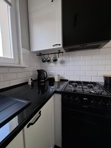 кухня, Apartament Spokojny Nad Jeziorem in Штум
