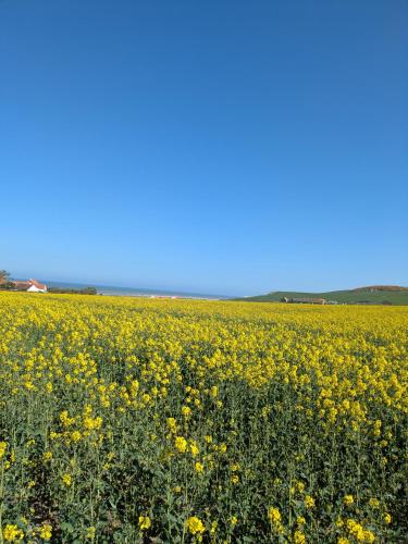 A környék, Coeur et Nature in Le Wast