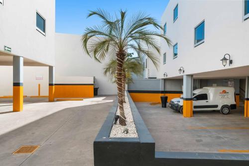 Home Suites Rotarismo - Tap to explore photos