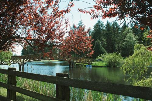 Wildwood Farm Bed & Breakfast - 주변 환경