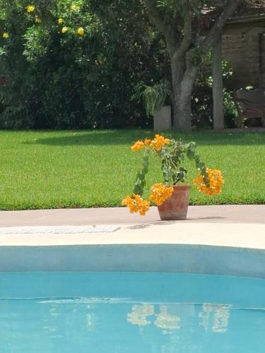 Casa de campo Villa Carré Pachacamac 3600m2