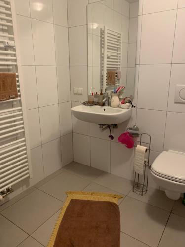 Schönes Apartment im ZentrumKehl (Schones Apartment im ZentrumKehl) in Kehl