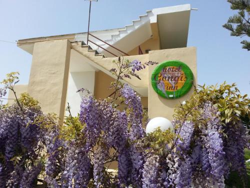 Gongis Studios, Agios Georgios (foto 8)