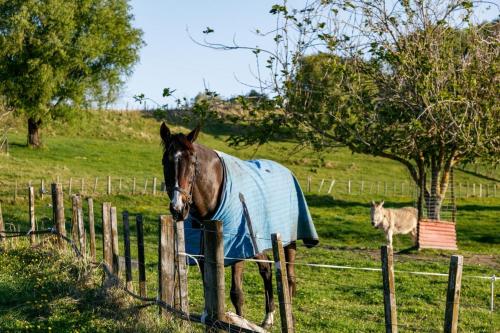 NEW - Farm House Near Town!