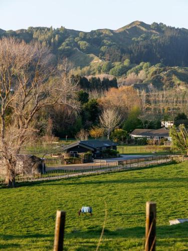 NEW - Farm House Near Town!