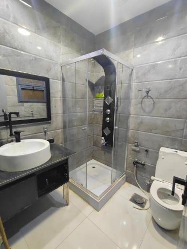 دوبلكس علي النيل