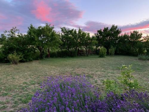 花園, Lilla Taksten in 里布羅