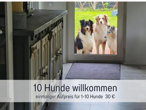 Ferienhaus Odisheim - Hunde herzlich willkommen - hoher Zaun - Terrasse mit Überdachung - familienfreundlich in Odisheim, Deutschland