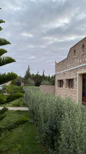 tigumitafokt tigumitafokt