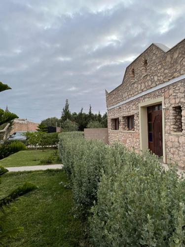 tigumitafokt tigumitafokt