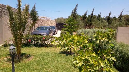 tigumitafokt tigumitafokt