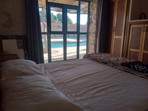 tigumitafokt tigumitafokt