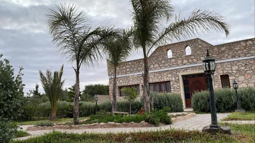 tigumitafokt tigumitafokt