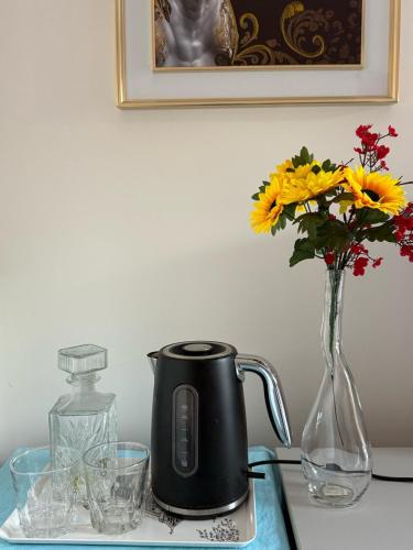 Iekārtas, Luxury and Nature View Stay in Helensville