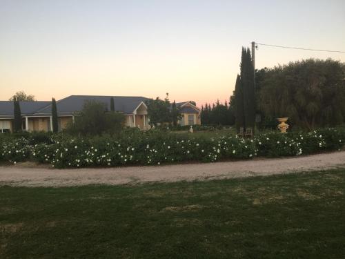 . Villa Rose