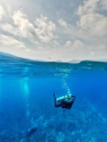 Reef Haven near Muelle Pier