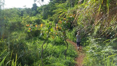 Forest Hideaway, Off-grid, Taguan Sa Tibanglan, Kalayaan (Foto 3)