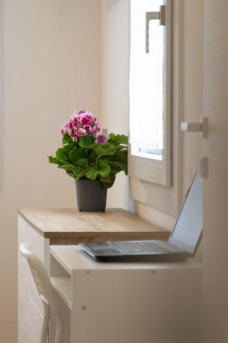 Tra il verde ed il Balsamico