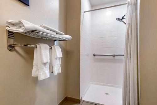 Comfort Inn Amite - image 11