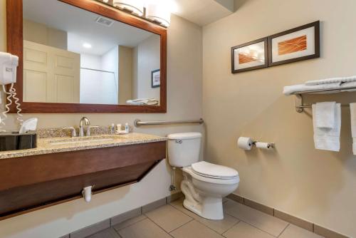 Comfort Inn Amite - image 7