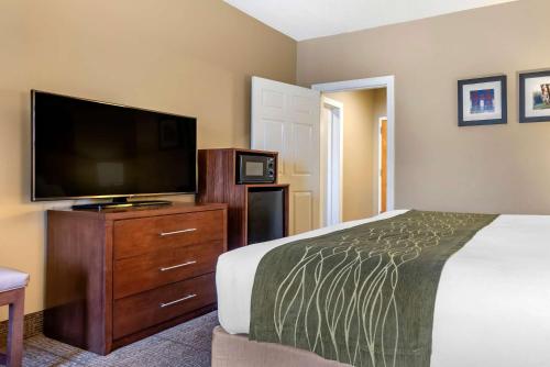 Comfort Inn Amite - image 8