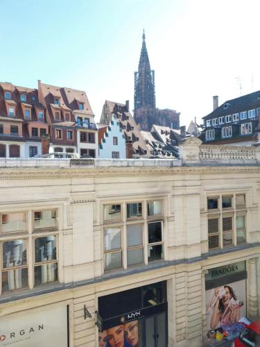 Hypercentre Strasbourg Vue Cathédrale, Strasbourg (photo 8)