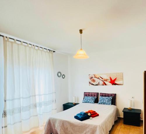 Bed and Breakfast Le petunie