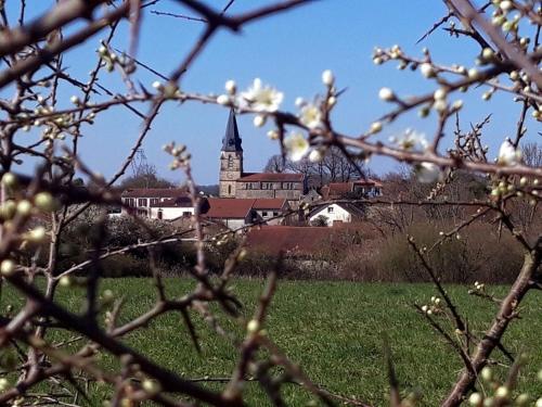 A környék, Gite Fenêtre sur Champs (Gite Fenetre sur Champs) in Revigny-sur-Ornain