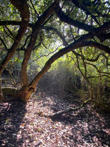 Halaal beach accommodation