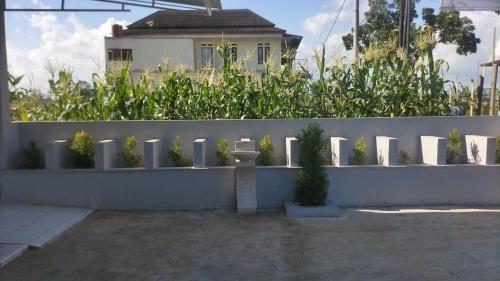 Alia Corner Homestay in Purbalingga