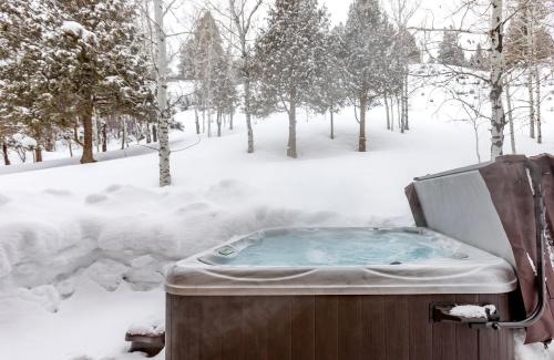 Magnificent Cabin with Spa and Luxurious Interior in Wyoming in Alpine Northeast (WY)