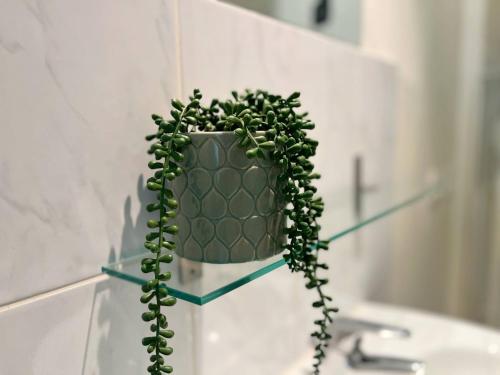 Suite Brandy Suite Brandy