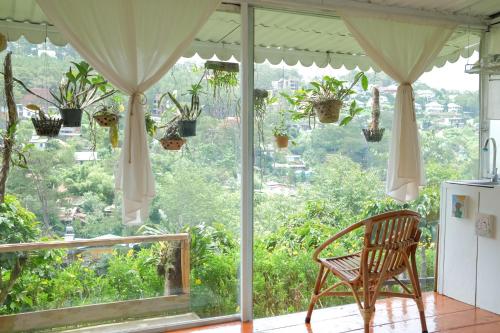 Cú Trên Cây Homestay - 정원