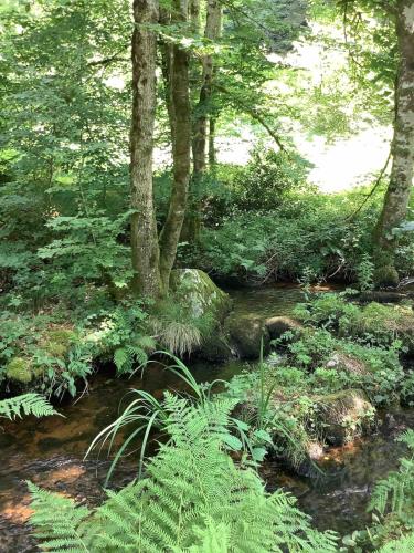 Lake View Cabin in Faux-la-Montagne