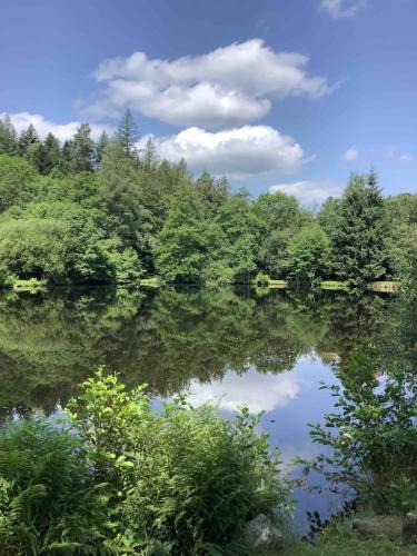 Lake View Cabin in Faux-la-Montagne