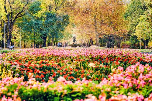 Apartment RELAX in the city center Apartment RELAX in the city center