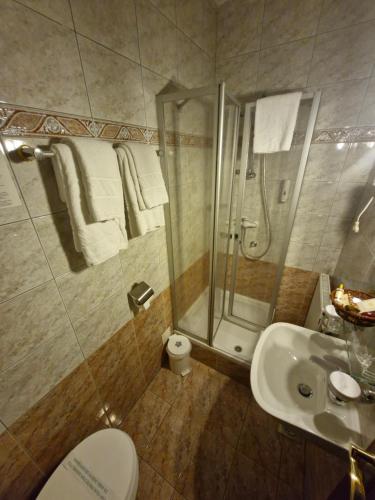 Hotel Razgorsek - image 13