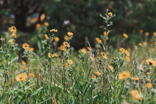 Secluded rustic 2-bedroom cabin on private land