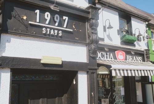 Mocha Beans Westport in 西港