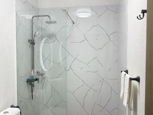 Summer Luna 5
