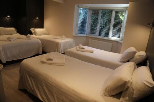 Debden Guest House - image 2