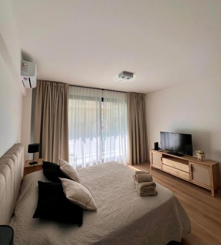One-Bedroom Apartment image 4
