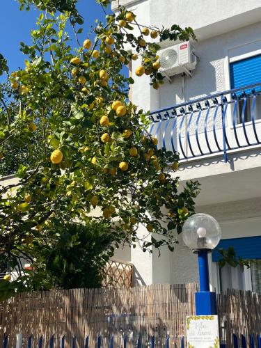 Villa del Limone , Mondello Via deucalione 18 ,via Miseno 18, Palermo (fotografie 10)