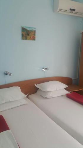 Nelly Guest House