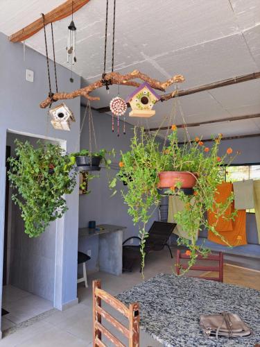 Lindo apartamento centro barra mansa in Barra Mansa (Rio de Janeiro)