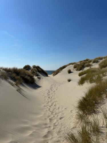 View, De Weie in Haamstede