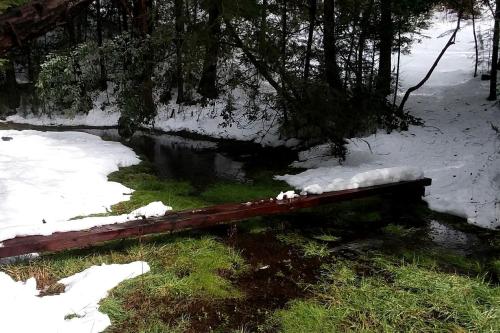 Serene Cabin Getaway with a Charcoal BBQ near Tahoe National Forest, California Serene Cabin Getaway with a Charcoal BBQ near Tahoe National Forest, California