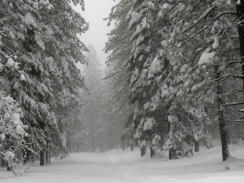 Serene Cabin Getaway with a Charcoal BBQ near Tahoe National Forest, California Serene Cabin Getaway with a Charcoal BBQ near Tahoe National Forest, California