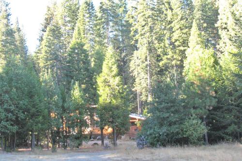 Serene Cabin Getaway with a Charcoal BBQ near Tahoe National Forest, California Serene Cabin Getaway with a Charcoal BBQ near Tahoe National Forest, California